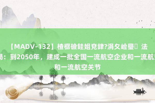 【MADV-132】楂樼礆銈姐兗銉?涓夊崄璺法 民航局：到2050年，建成一批全国一流航空企业和一流航空关节