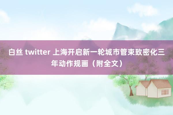 白丝 twitter 上海开启新一轮城市管束致密化三年动作规画（附全文）