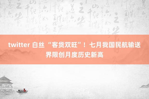 twitter 白丝 “客货双旺”！七月我国民航输送界限创月度历史新高