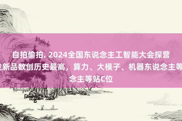 自拍偷拍. 2024全国东说念主工智能大会探营：首发新品数创历史最高，算力、大模子、机器东说念主等站C位