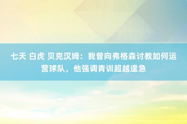 七天 白虎 贝克汉姆：我曾向弗格森讨教如何运营球队，他强调青训超越遑急