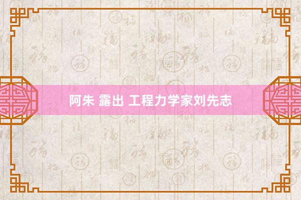 阿朱 露出 工程力学家刘先志