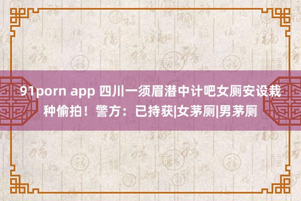 91porn app 四川一须眉潜中计吧女厕安设栽种偷拍！警方：已持获|女茅厕|男茅厕