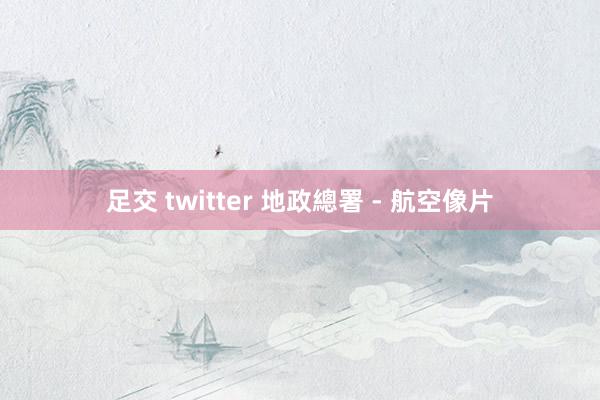 足交 twitter 地政總署 - 航空像片