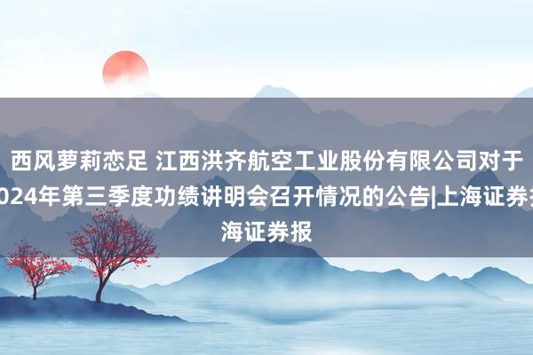 西风萝莉恋足 江西洪齐航空工业股份有限公司对于2024年第三季度功绩讲明会召开情况的公告|上海证券报