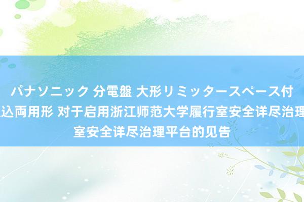 パナソニック 分電盤 大形リミッタースペース付 露出・半埋込両用形 对于启用浙江师范大学履行室安全详尽治理平台的见告