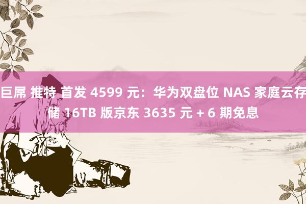 巨屌 推特 首发 4599 元：华为双盘位 NAS 家庭云存储 16TB 版京东 3635 元 + 6 期免息