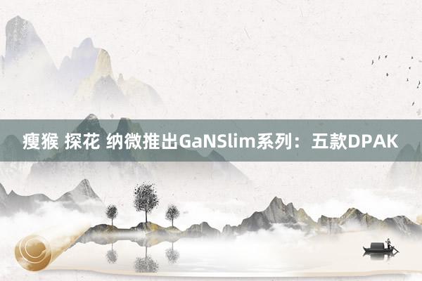 瘦猴 探花 纳微推出GaNSlim系列：五款DPAK