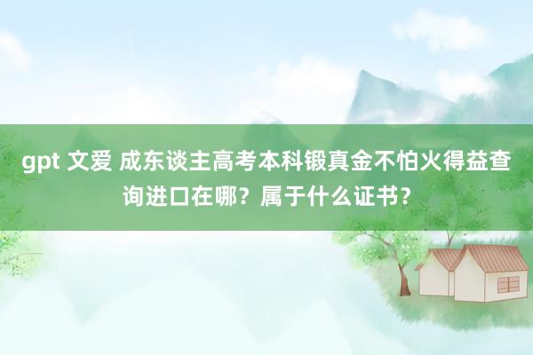 gpt 文爱 成东谈主高考本科锻真金不怕火得益查询进口在哪？属于什么证书？